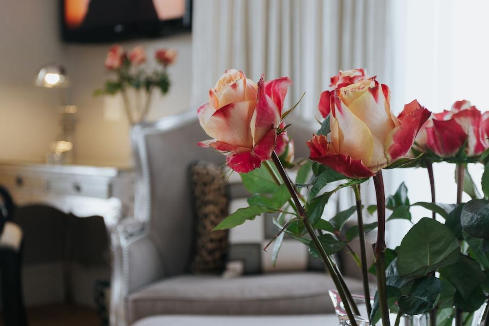 The Light House Boutique Suites بارل المظهر الخارجي الصورة